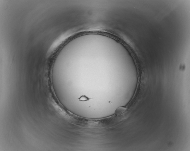 X0000113221456200910011333