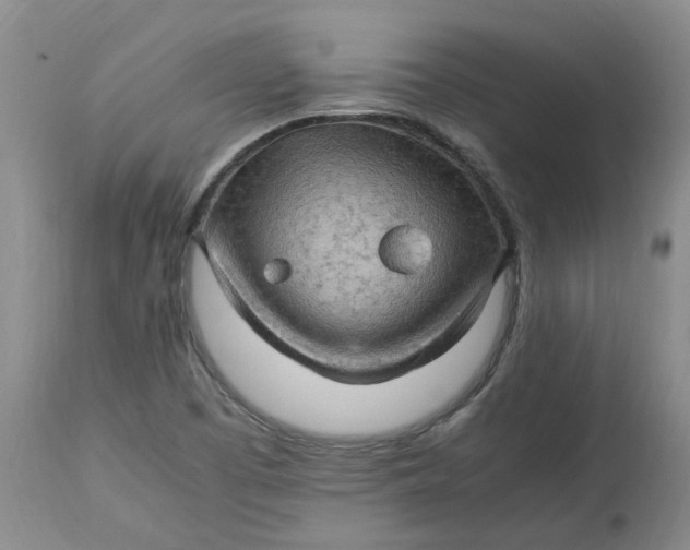 X0000113221457200910011333