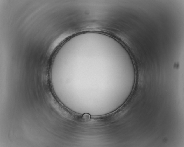 X0000113221458200910011333