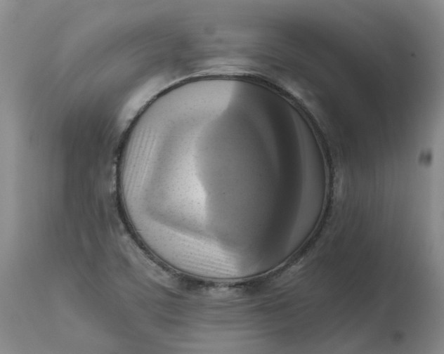 X0000113221459200910011333