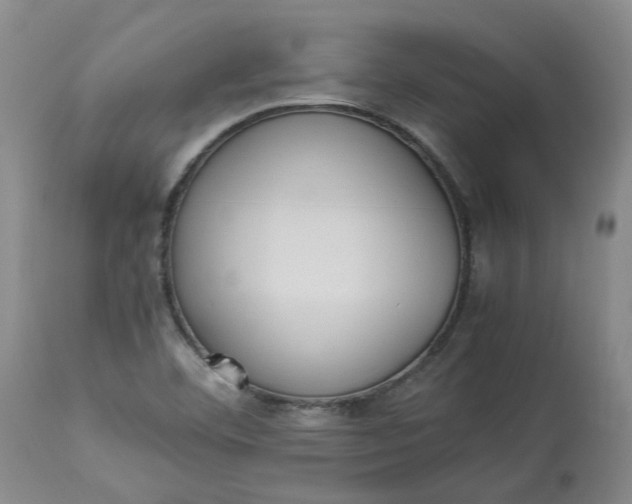 X0000113221460200910011333