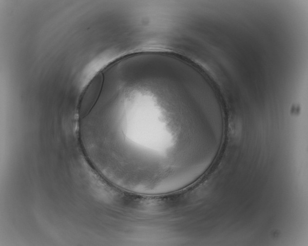 X0000113221461200910011333