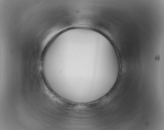 X0000113221462200910011333