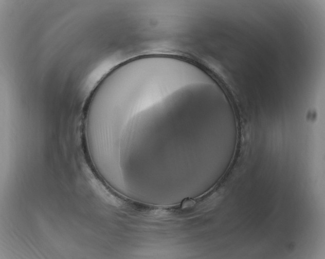 X0000113221463200910011333