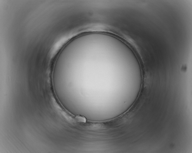 X0000113221464200910011333