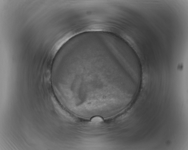 X0000113221465200910011333