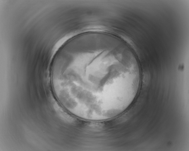 X0000113221466200910011333