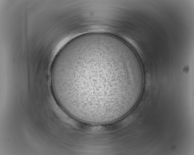 X0000113221467200910011333