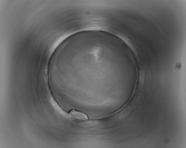 X0000113221468200910011333