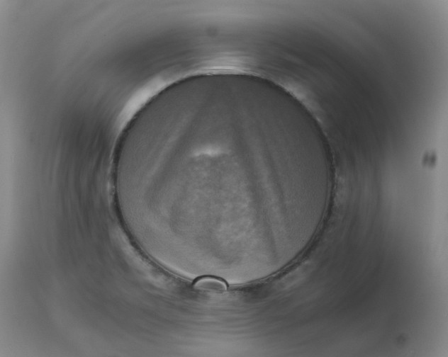 X0000113221469200910011333