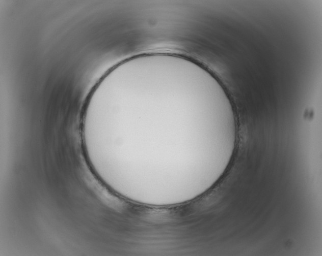 X0000113221470200910011333