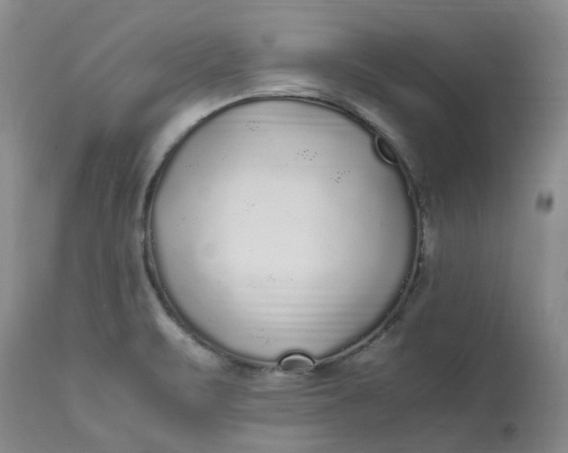 X0000113221471200910011333