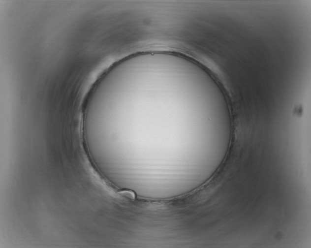 X0000113221472200910011333