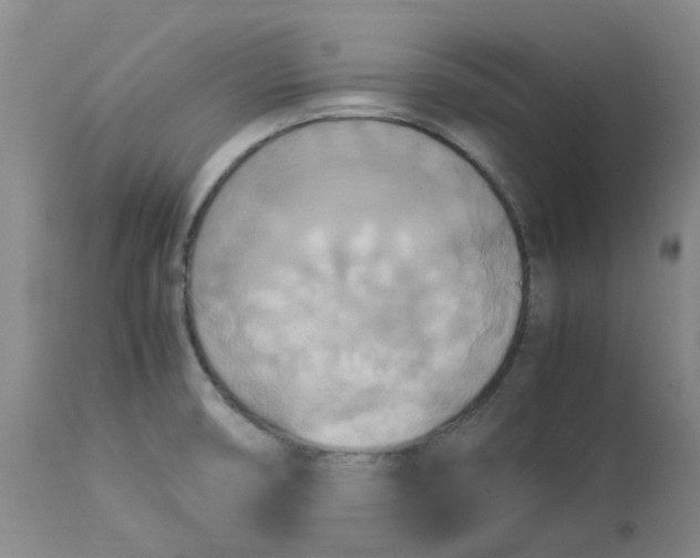 X0000113221474200910011333