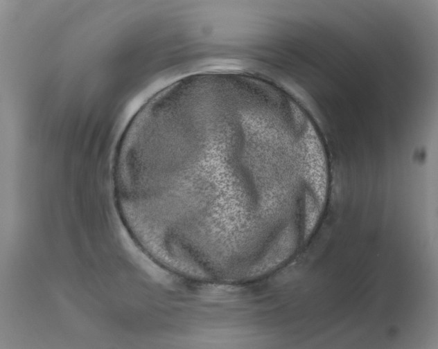 X0000113221475200910011333