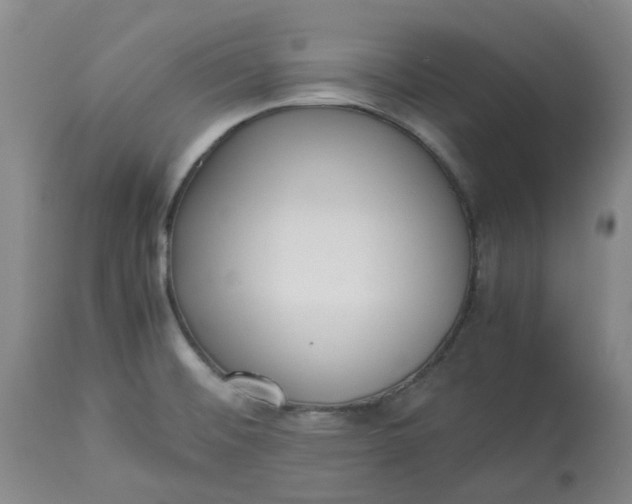 X0000113221476200910011333