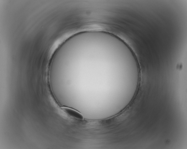 X0000113221477200910011333