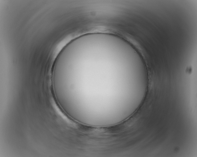 X0000113221479200910011333