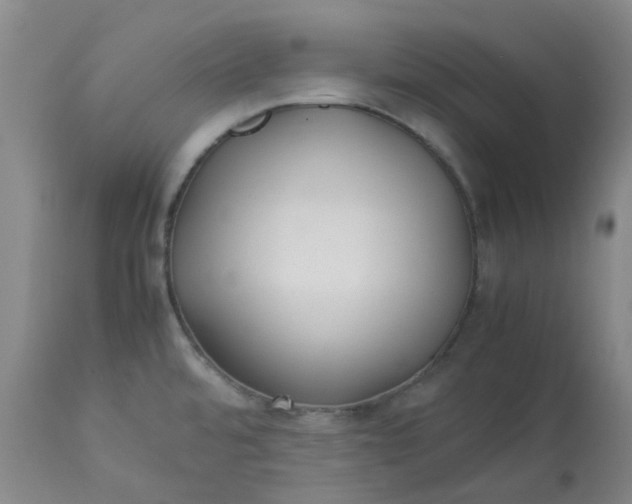 X0000113221480200910011333