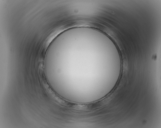 X0000113221481200910011332