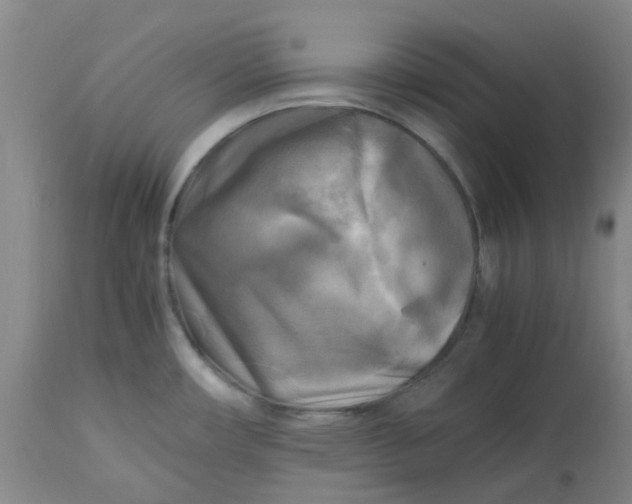 X0000113221482200910011332