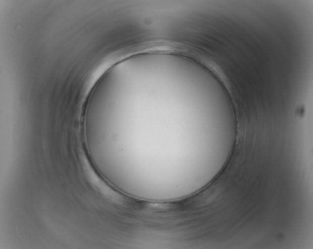 X0000113221483200910011332