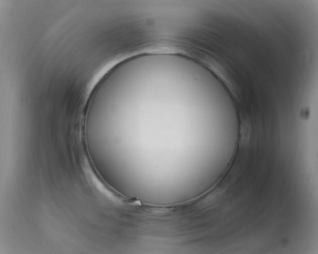 X0000113221484200910011332