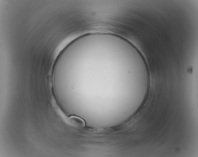 X0000113221485200910011332