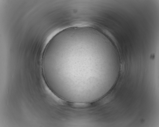 X0000113221487200910011332