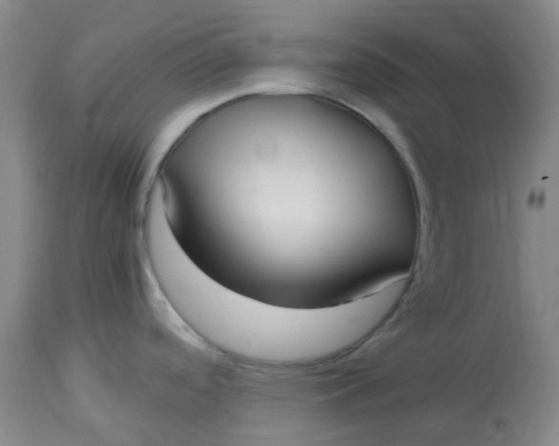 X0000113221488200910011332