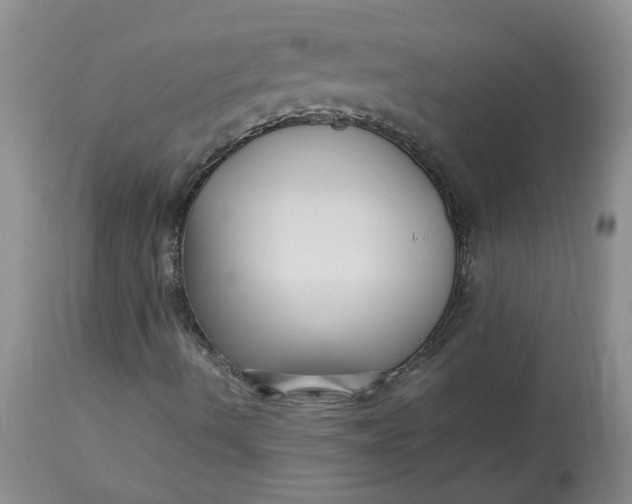 X0000113221490200910011332