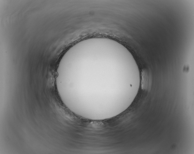 X0000113221491200910011332