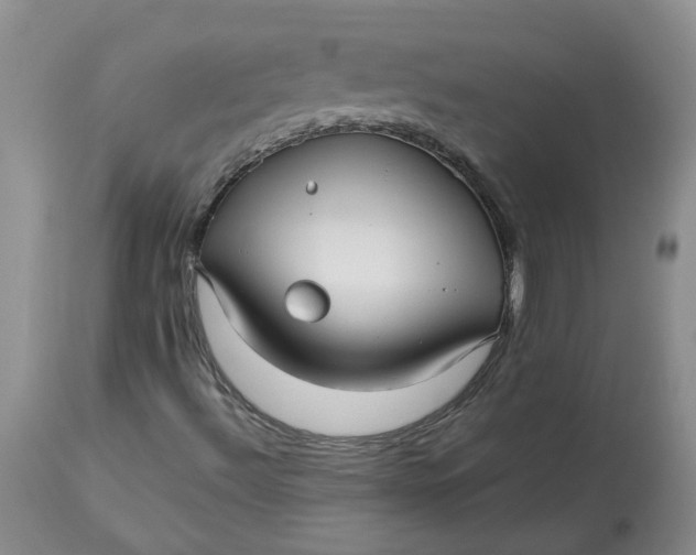 X0000113221492200910011332