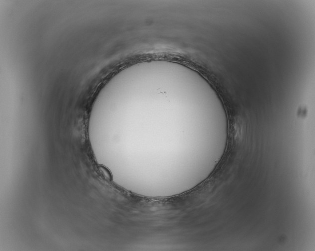 X0000113221493200910011332