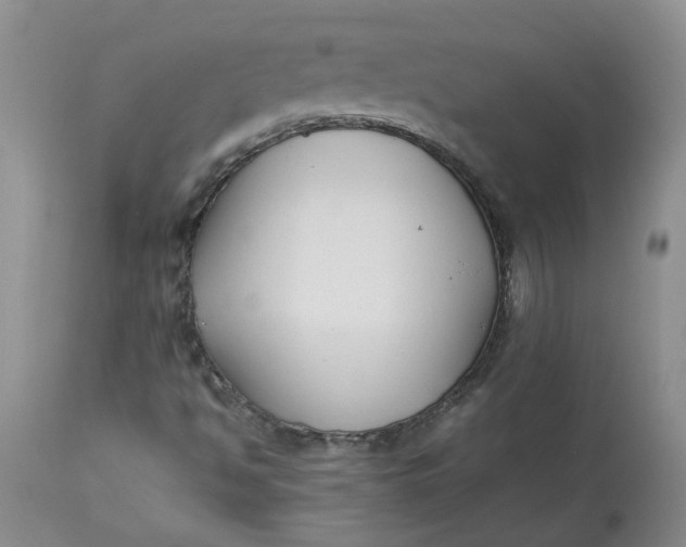 X0000113221494200910011332