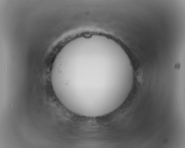 X0000113221495200910011332