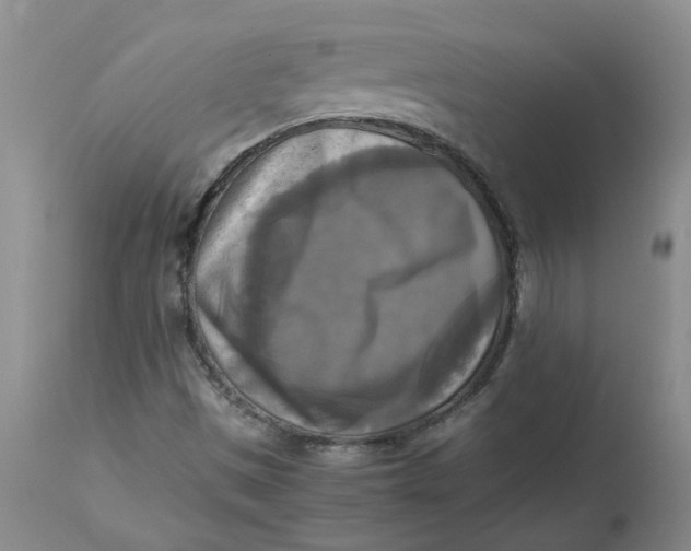 X0000113221497200910011332