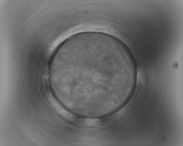 X0000113221498200910011332