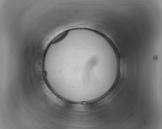 X0000113221500200910011332