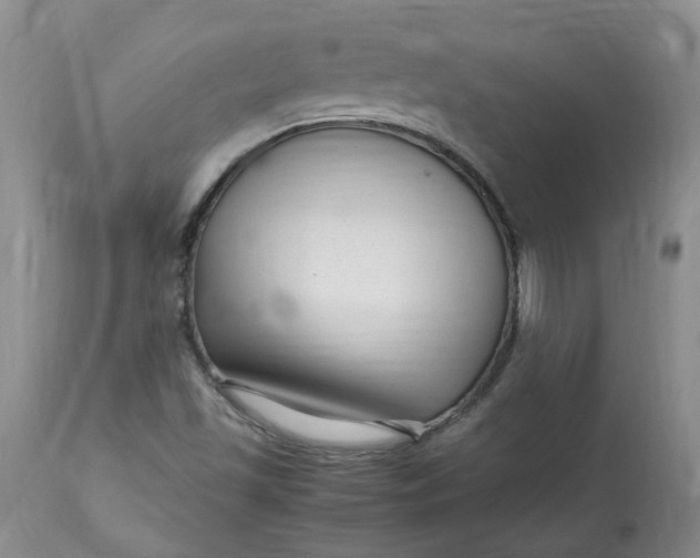 X0000113221501200910011332