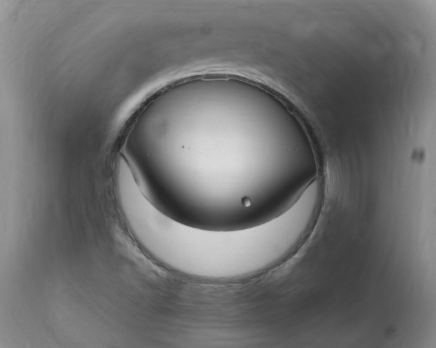 X0000113221502200910011332