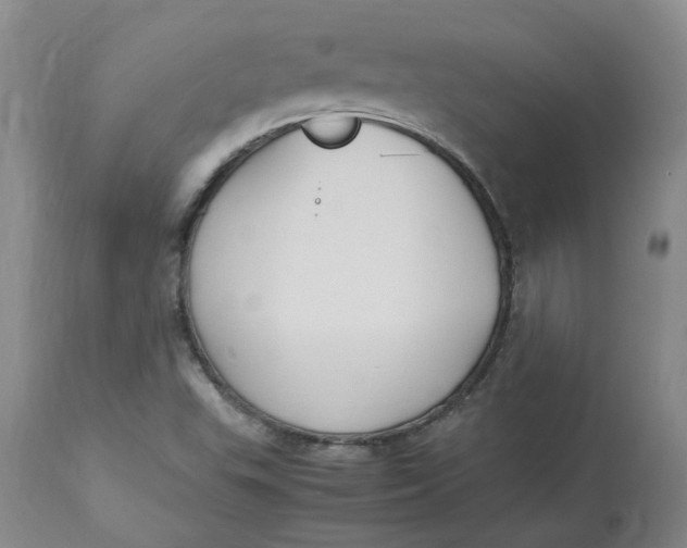 X0000113221503200910011332