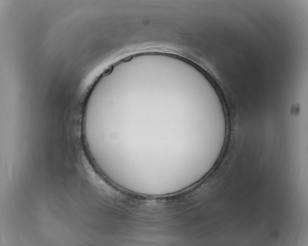 X0000113221504200910011332