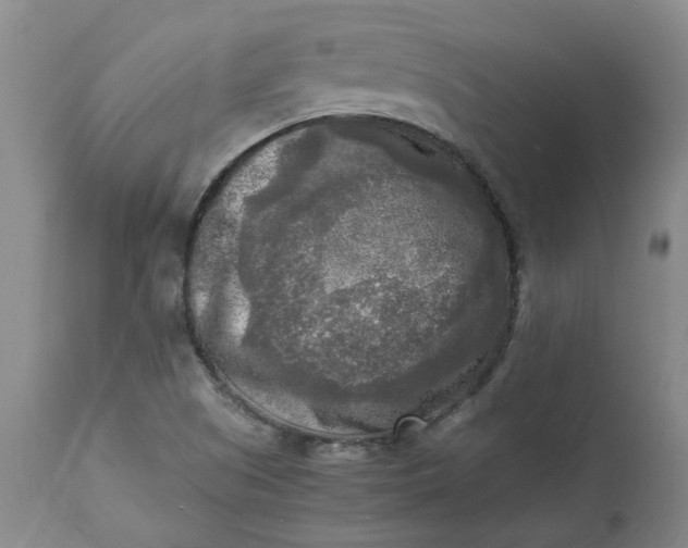 X0000113221505200910011332