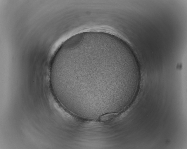 X0000113221506200910011332