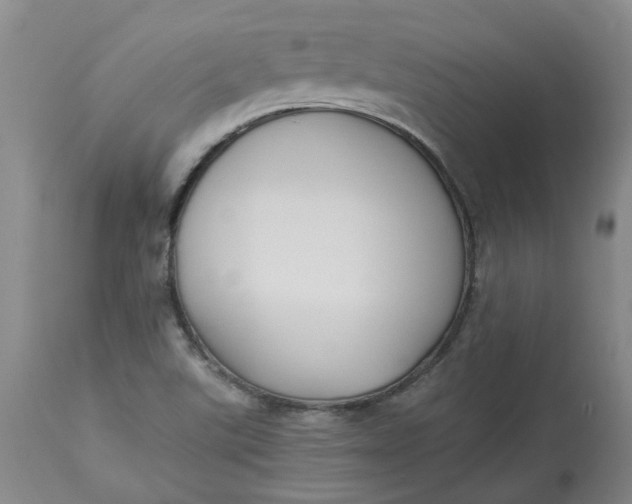 X0000113221507200910011332