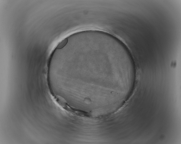 X0000113221508200910011332