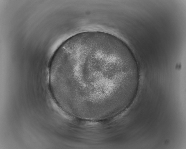 X0000113221509200910011332