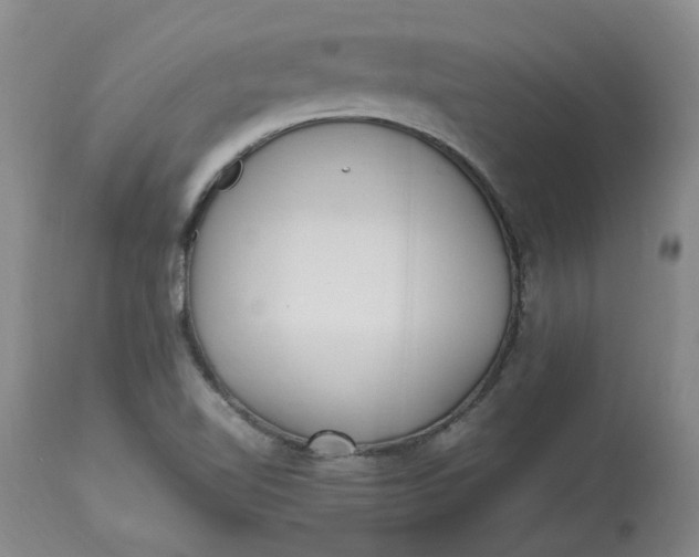 X0000113221510200910011332