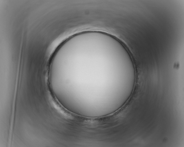 X0000113221511200910011332